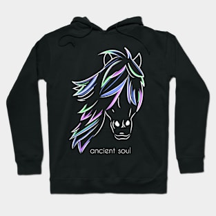 Ancient soul Hoodie